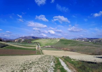 Foto 12 - Rustico Appignano del Tronto - foto 12