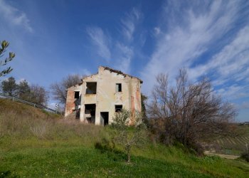 Foto 7 - Rustico Appignano del Tronto - foto 7