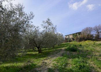 Foto 13 - Rustico Appignano del Tronto - foto 13