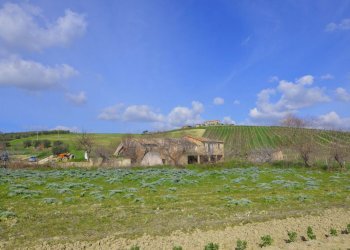 Foto 3 - Rustico Appignano del Tronto - foto 3