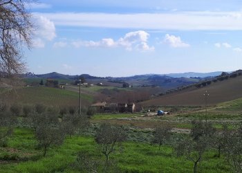 Foto 9 - Rustico Appignano del Tronto - foto 9