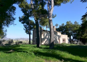 Foto 6 - Rustico Appignano del Tronto - foto 6