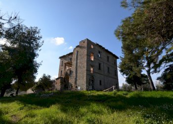 Foto 13 - Rustico Appignano del Tronto - foto 13