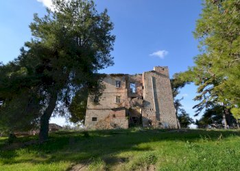 Foto 15 - Rustico Appignano del Tronto - foto 15