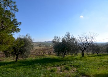 Foto 28 - Rustico Appignano del Tronto - foto 28