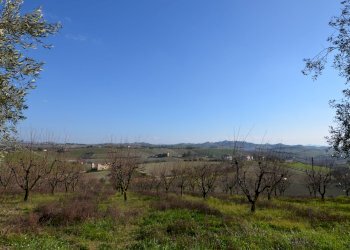 Foto 29 - Rustico Appignano del Tronto - foto 29