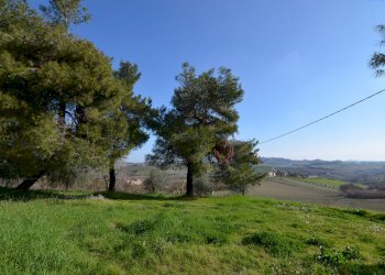 Foto 31 - Rustico Appignano del Tronto - foto 31