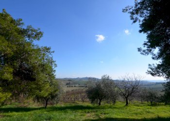 Foto 32 - Rustico Appignano del Tronto - foto 32