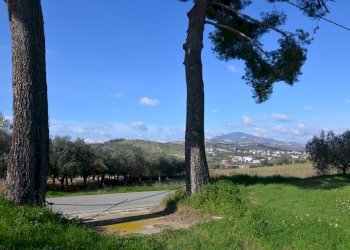 Foto 35 - Rustico Appignano del Tronto - foto 35