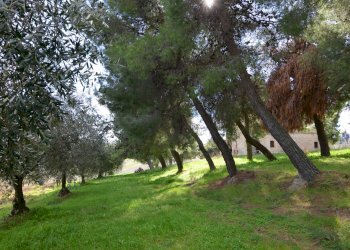 Foto 37 - Rustico Appignano del Tronto - foto 37