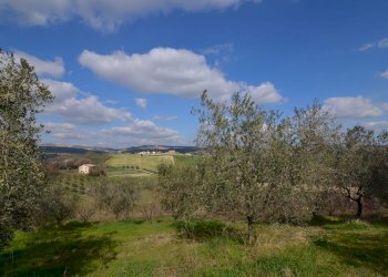 Foto 38 - Rustico Appignano del Tronto - foto 38