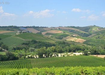 Foto 27 - Rustico C.da San Venanzo, Castignano - foto 27