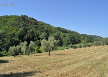 Foto 8 - Rustico Cupra Marittima - foto 8