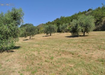 Foto 11 - Rustico Cupra Marittima - foto 11