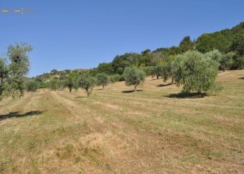 Foto 13 - Rustico Cupra Marittima - foto 13