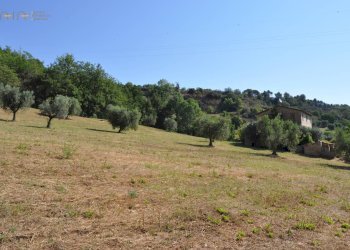 Foto 17 - Rustico Cupra Marittima - foto 17