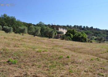 Foto 18 - Rustico Cupra Marittima - foto 18