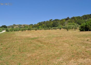 Foto 31 - Rustico Cupra Marittima - foto 31