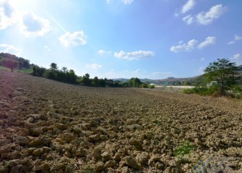 Foto 31 - Rustico Ripatransone - foto 31