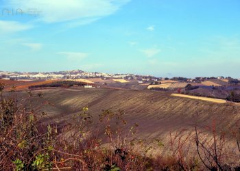 Foto 3 - Rustico Via Tose
 
snc, Castel di Lama - foto 3