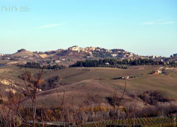 Foto 16 - Rustico Via Tose
 
snc, Castel di Lama - foto 16