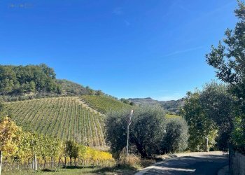 Foto 6 - Rustico CONTRADA PEZZALUNGA
 
8, Ripatransone - foto 6