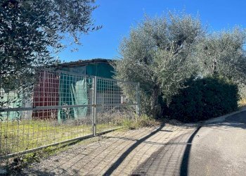 Foto 7 - Rustico CONTRADA PEZZALUNGA
 
8, Ripatransone - foto 7