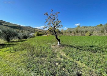 Foto 8 - Rustico CONTRADA PEZZALUNGA
 
8, Ripatransone - foto 8