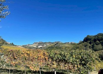 Foto 9 - Rustico CONTRADA PEZZALUNGA
 
8, Ripatransone - foto 9