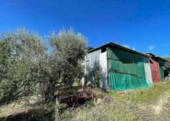 Foto 13 - Rustico CONTRADA PEZZALUNGA
 
8, Ripatransone - foto 13