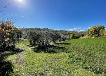 Foto 14 - Rustico CONTRADA PEZZALUNGA
 
8, Ripatransone - foto 14