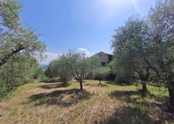 Foto 4 - Rustic Castorano - photo 4