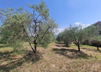 Foto 5 - Rustic Castorano - photo 5