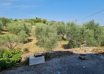 Foto 12 - Rustic Castorano - photo 12