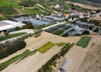 Foto 4 - Agricultural land Via Penna
 
snc, Ripatransone - photo 4