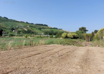 Foto 10 - Agricultural land Via Penna
 
snc, Ripatransone - photo 10