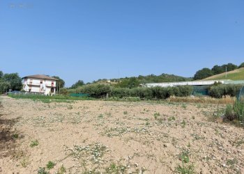 Foto 14 - Agricultural land Via Penna
 
snc, Ripatransone - photo 14