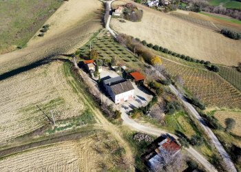 Foto 5 - Rustico Contrada Case Rosse, Ripatransone - foto 5