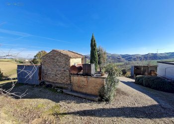 Foto 12 - Rustico Contrada Case Rosse, Ripatransone - foto 12