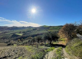 Foto 34 - Rustico Contrada Case Rosse, Ripatransone - foto 34