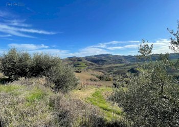 Foto 35 - Rustico Contrada Case Rosse, Ripatransone - foto 35