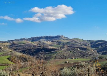Foto 37 - Rustico Contrada Case Rosse, Ripatransone - foto 37