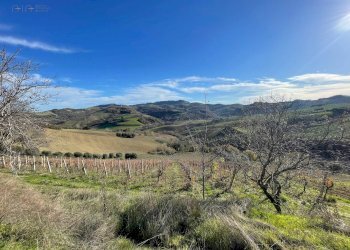 Foto 38 - Rustico Contrada Case Rosse, Ripatransone - foto 38