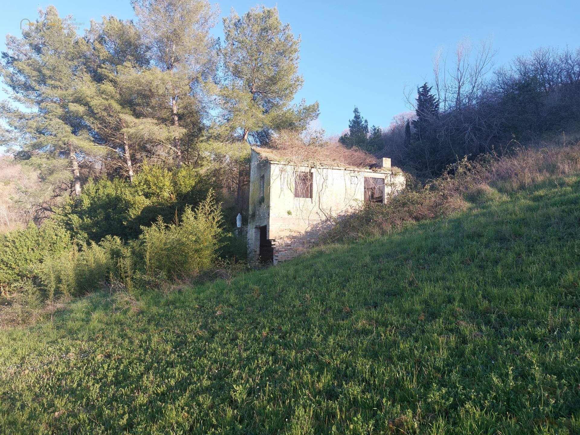 Foto 3 - Rustic C.da Fiorano
 
snc, Ripatransone - photo 3