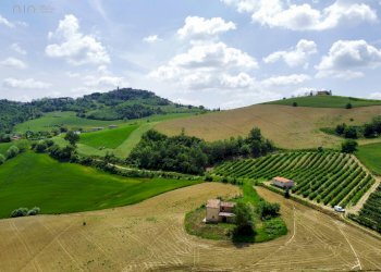 Foto 3 - Rustico Montedinove - foto 3