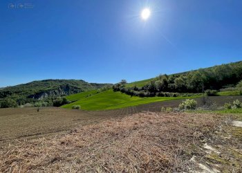 Foto 14 - Rustico Montedinove - foto 14