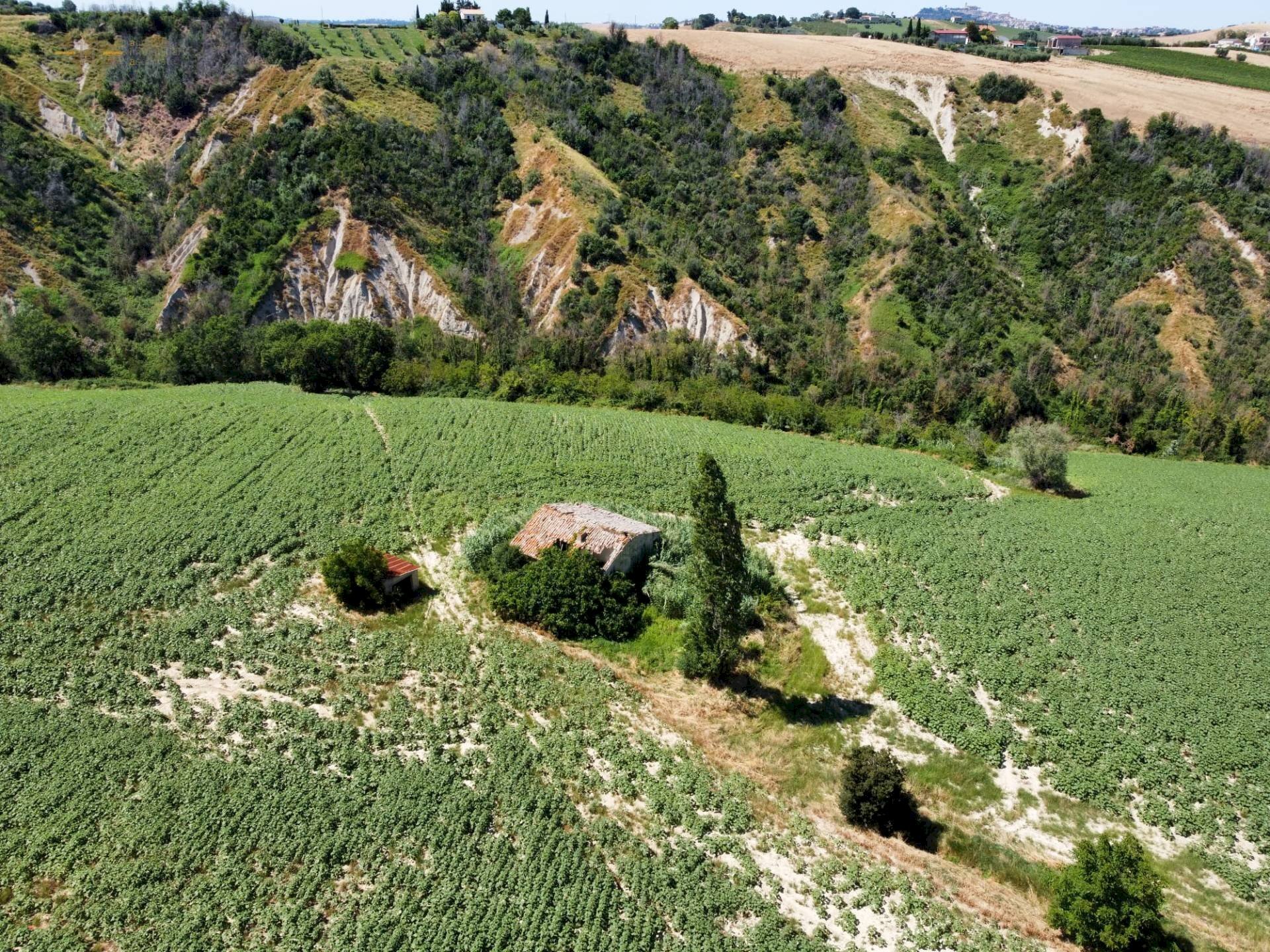 Foto 2 - Rustico CONTRADA FONTERRANTE
 
SNC, Monterubbiano - foto 2