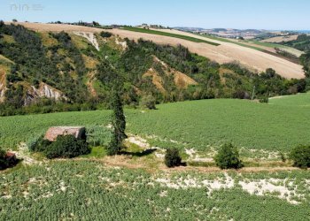 Foto 3 - Rustico CONTRADA FONTERRANTE
 
SNC, Monterubbiano - foto 3