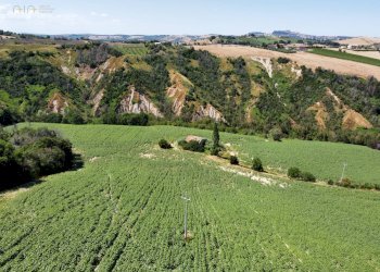 Foto 4 - Rustico CONTRADA FONTERRANTE
 
SNC, Monterubbiano - foto 4