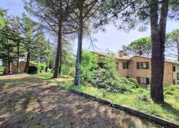 Foto 51 - Rustico San Ginesio - foto 51